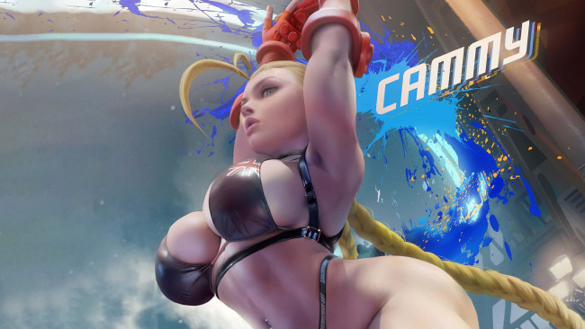 Обои картинки фото видео игры, street fighter, cammy, white, street, fighter