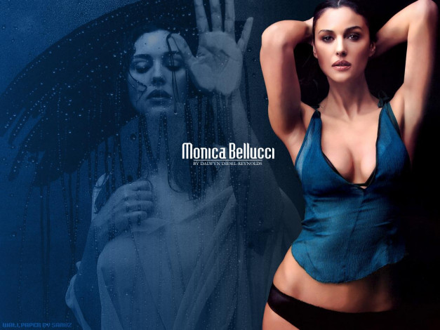 Обои картинки фото Monica Bellucci, девушки