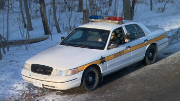 Картинка полиция автомобили sheriff ford crown victoria