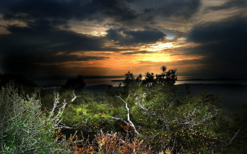 Картинка природа восходы закаты небо кустарник ночь море