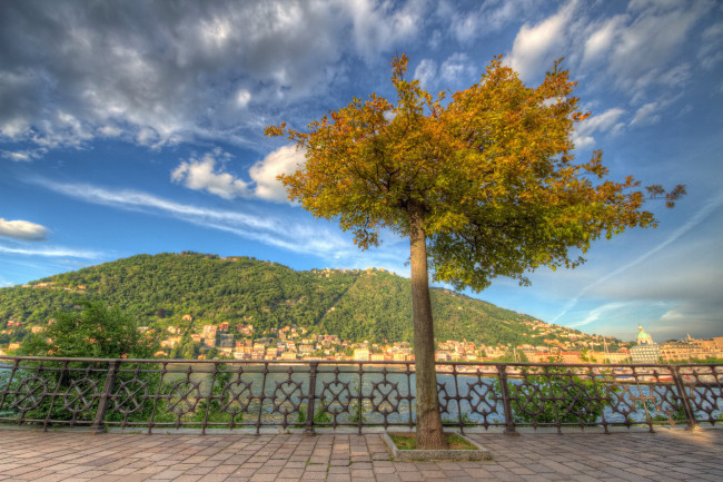 Обои картинки фото como, lombardy, italy, города, улицы, площади, набережные, дерево, lake, комо, ломбардия, италия, озеро