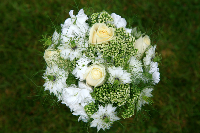 Обои картинки фото цветы, букеты, композиции, розы, нигелла, свадебный