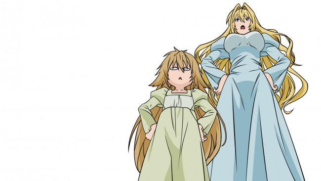 Обои картинки фото аниме, sekirei, девушка, платье
