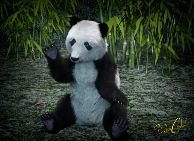 Обои картинки фото 3д графика, животные , animals, бамбук, панда