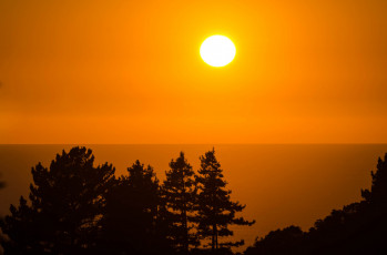 Картинка природа восходы закаты горизонт закат солнце силуэт деревья море небо