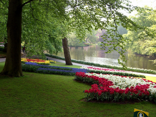 Обои картинки фото природа, парк, река, деревья, клумбы, тюльпаны