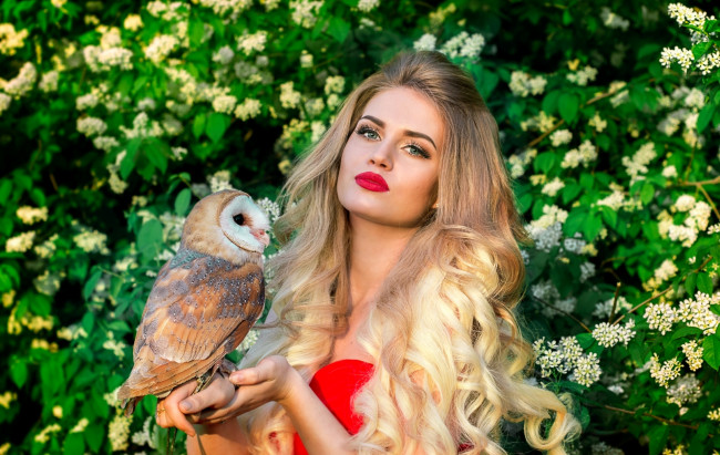Обои картинки фото девушки, -unsort , блондинки, блондинка, сова, птица, макияж