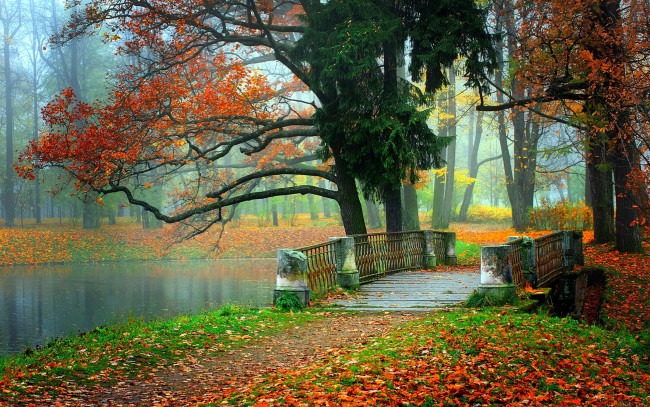 Обои картинки фото природа, парк, листья, листопад, мостик, водоем, осень