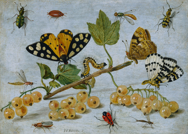 Обои картинки фото рисованное, животные,  насекомые, картина, смородина, натюрморт, гусеница, масло, бабочка, ягоды