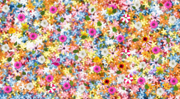 Картинка разное компьютерный+дизайн фон лепестки цветы