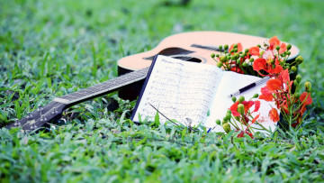 обоя музыка, -музыкальные инструменты, тетрадь, гитара, цветок