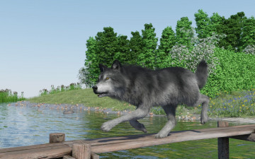 Картинка 3д+графика животные+ animals волк фон мост река