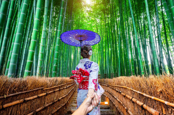 Картинка девушки -+азиатки бамбуковый лес зонтик кимоно
