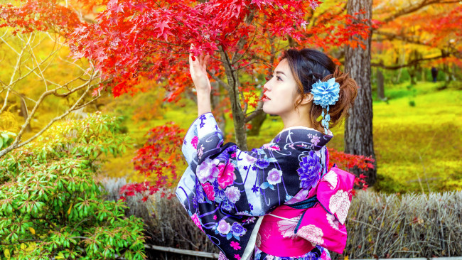 Обои картинки фото девушки, - азиатки, азиатка, кимоно, клен