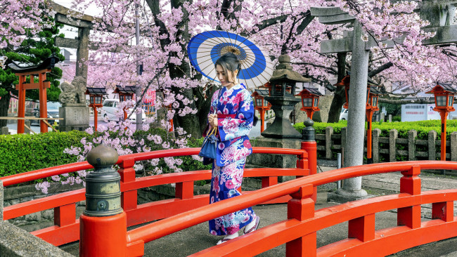 Обои картинки фото девушки, - азиатки, парк, сакура, весна, азиатка, кимоно, зонтик, мостик