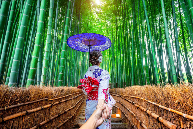 Обои картинки фото девушки, - азиатки, бамбуковый, лес, зонтик, кимоно