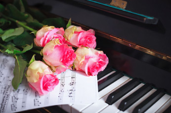 обоя музыка, -музыкальные инструменты, клавиши, ноты, розы, бутоны