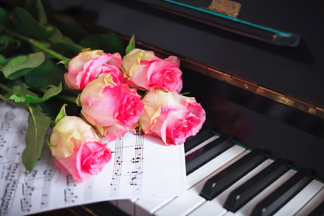Обои картинки фото музыка, -музыкальные инструменты, клавиши, ноты, розы, бутоны
