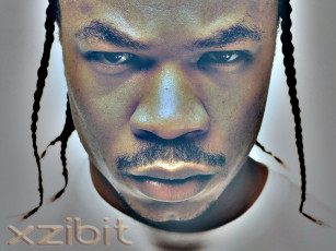 обоя zibit, музыка