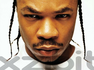 обоя zibit, музыка