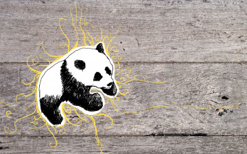 Картинка рисованные животные панды