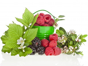 обоя еда, фрукты, ягоды, ежевика, ведёрко, малина, цветы