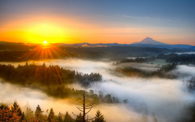 Обои картинки фото природа, восходы, закаты, туман, гора, восход, солнца
