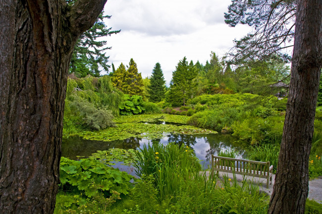 Обои картинки фото природа, парк, канада, vancouver, vandusen, botanical