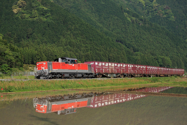 Обои картинки фото техника, поезда, поезд, лес, река