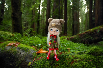 Картинка разное игрушки кукла лес