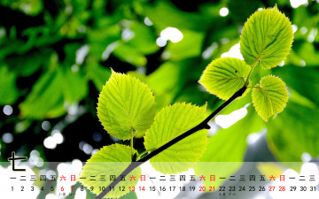 Картинка календари природа ветка