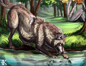 Картинка рисованное животные +волки волк лес река