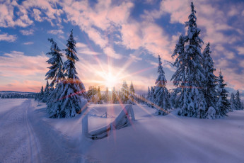 Картинка природа зима норвегия свет солнце звезда утро снег