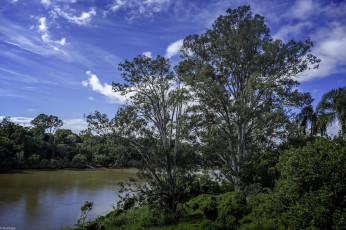 Картинка природа реки озера деревья река небо
