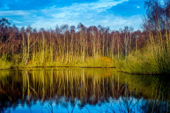 Картинка природа реки озера камыш небо река отражение