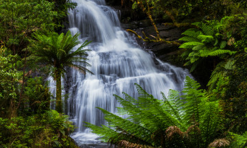 Картинка природа водопады водопад поток папоротник вода камни зелень