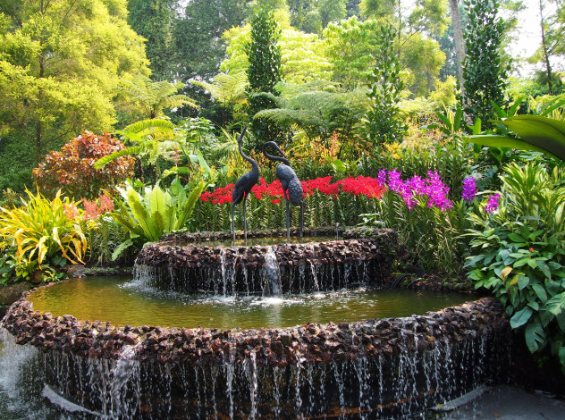 Обои картинки фото природа, парк, цветы, деревья, фонтан, птицы, скульптуры, кусты, сад, botanic, gardens, сингапур