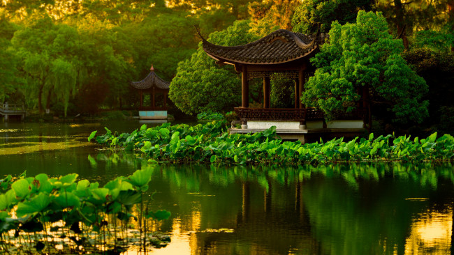 Обои картинки фото природа, парк, сад, беседки, ханчжоу, китай, пагода, пруд, лотосы, деревья, вода