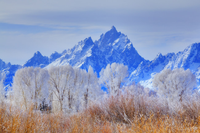 Обои картинки фото природа, горы, wyoming, grand, teton, national, park, иней, снег, зима, деревья, небо, сша