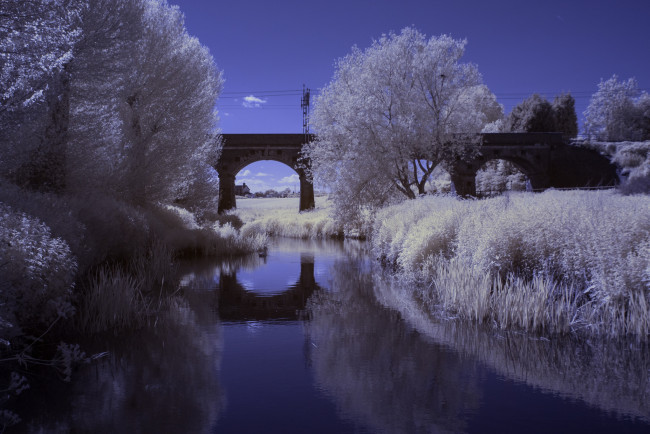 Обои картинки фото природа, реки, озера, деревья, мост, река, зима, отражение