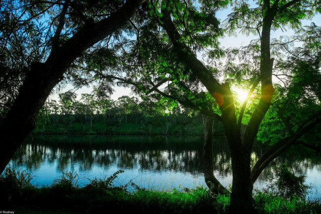 Обои картинки фото природа, восходы, закаты, река, солнце, трава, утро, дерево
