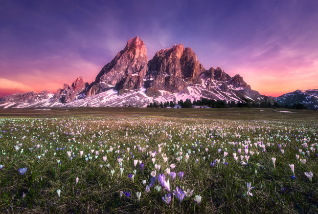Обои картинки фото природа, горы, долина, трава, цветы