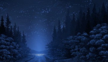 Картинка аниме животные +существа ночь дорога лес лиса небо