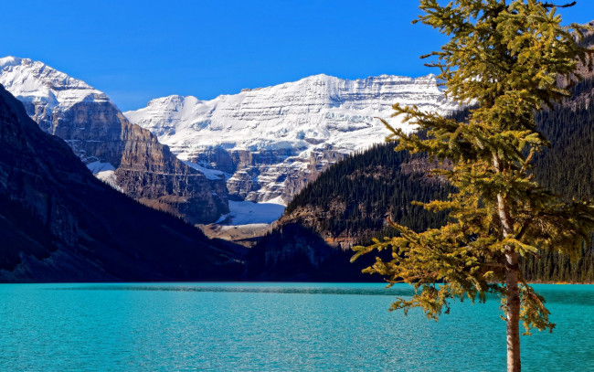 Обои картинки фото lake louise, banff national park, canada, природа, реки, озера, lake, louise, banff, national, park