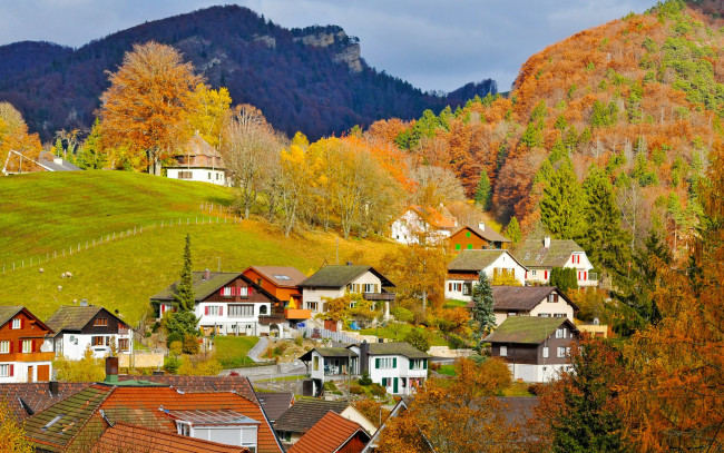 Обои картинки фото switzerland, города, пейзажи, швейцария, городок, горы, леса, дома, деревья