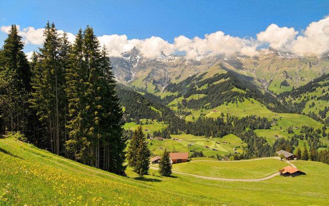 Обои картинки фото switzerland, природа, пейзажи, домики, деревья, швейцария, горы, луг, облака