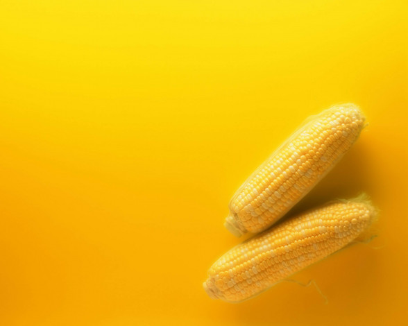 Обои картинки фото еда, кукуруза, фон