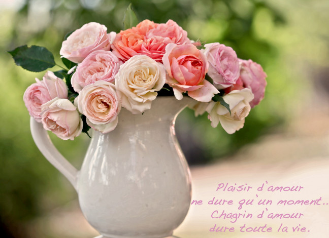 Обои картинки фото цветы, розы, кувшин