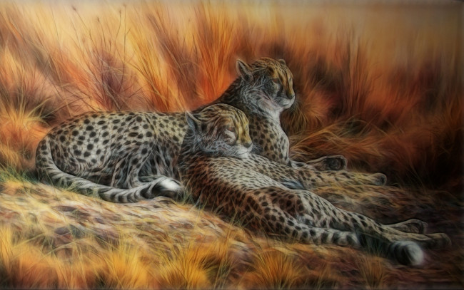 Обои картинки фото leopard, pair, 3д, графика, animals, животные, леопарды, степь, трава, гепарды