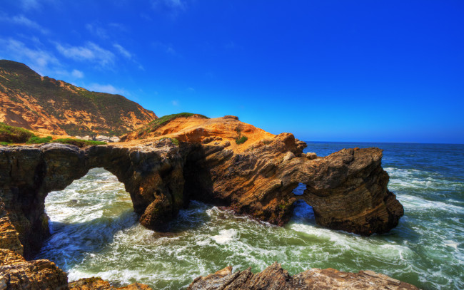 Обои картинки фото mussel, rock, природа, побережье, скалы, волны, берег